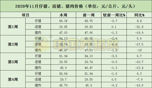 中国电子游艺网站下载安装
