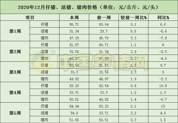 中国电子游艺网站下载安装
