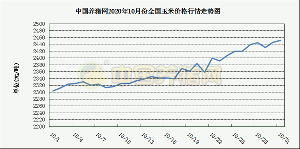 中国电子游艺网站下载安装
