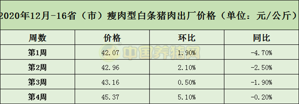 中国电子游艺网站下载安装

