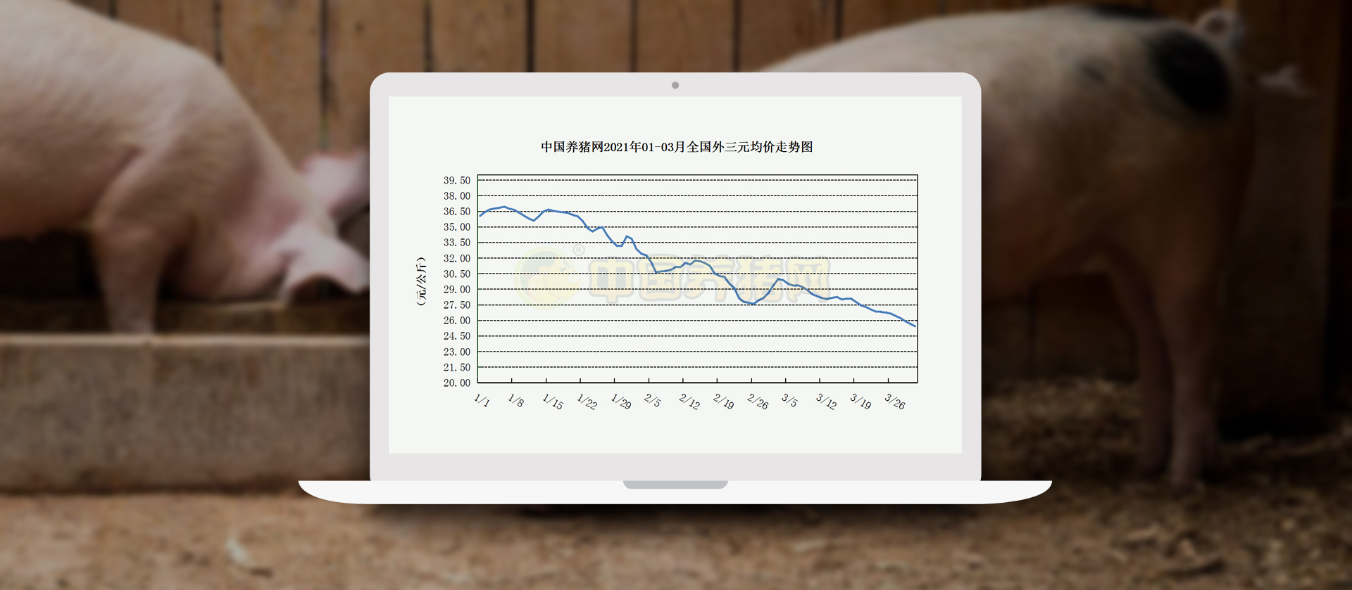 中国电子游艺网站下载安装
