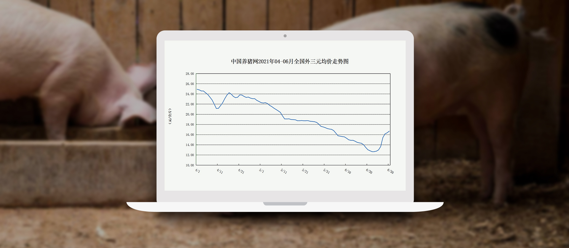 中国电子游艺网站下载安装
