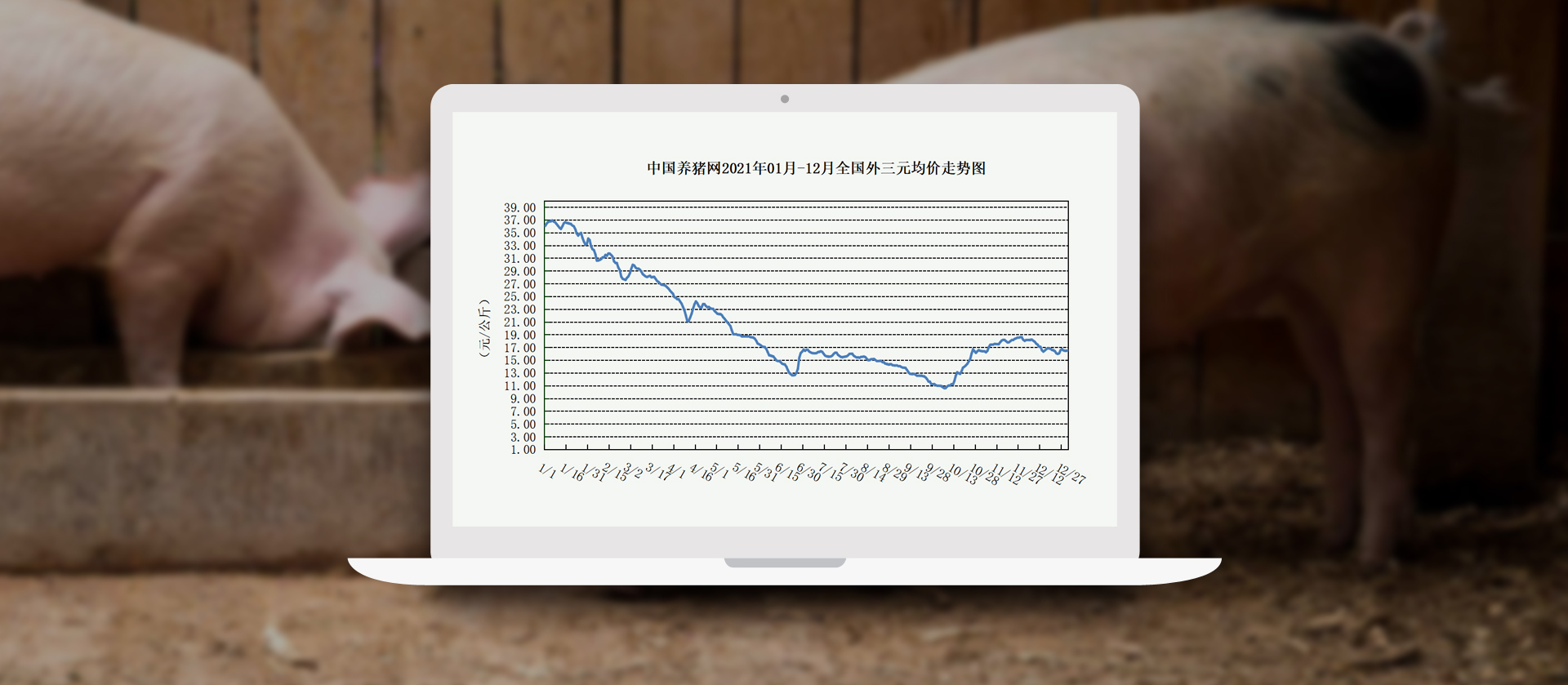 中国电子游艺网站下载安装
