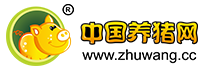 中国电子游艺网站下载安装
