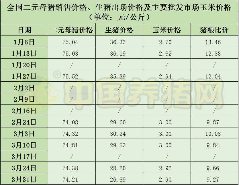 中国电子游艺网站下载安装

