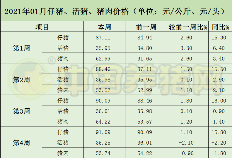 中国电子游艺网站下载安装
