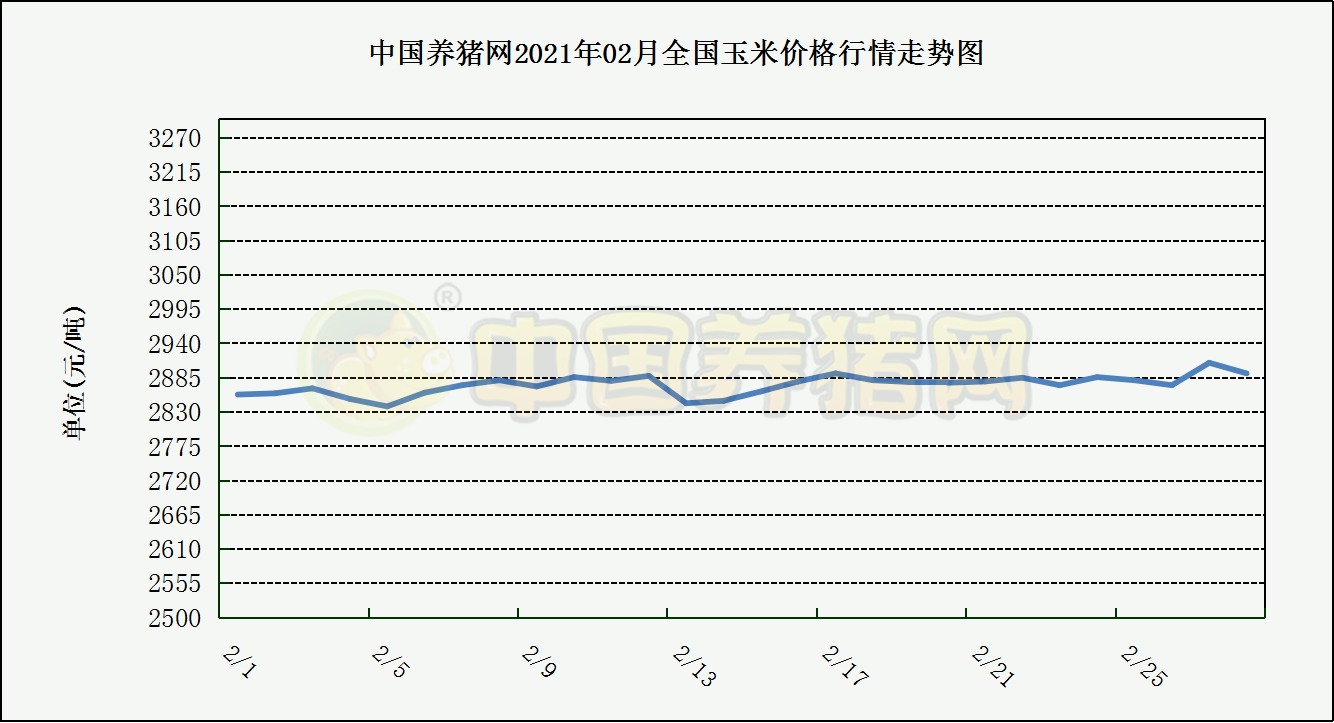 中国电子游艺网站下载安装
