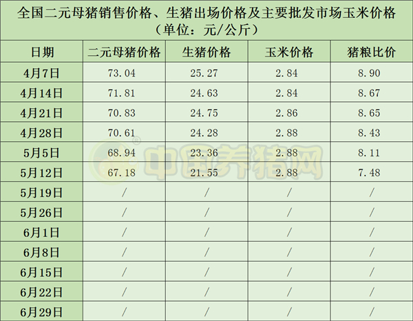 中国电子游艺网站下载安装
