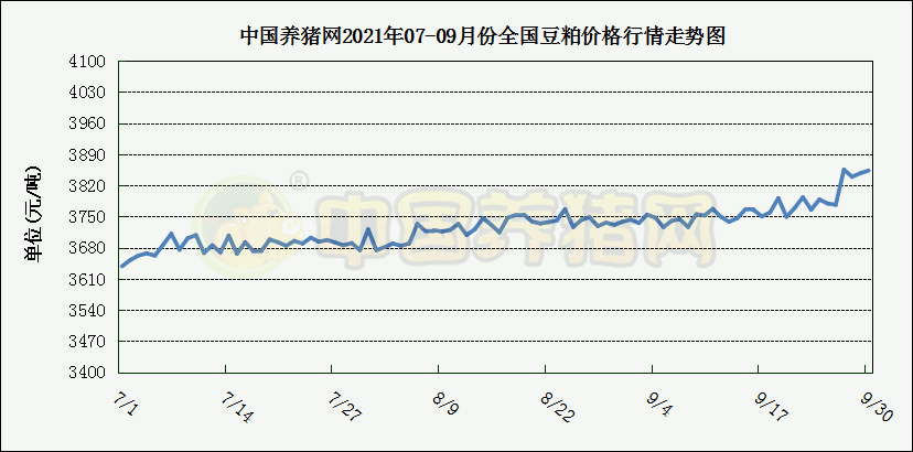 中国电子游艺网站下载安装
