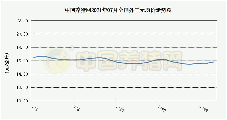 中国电子游艺网站下载安装
