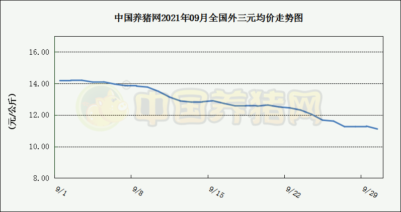 中国电子游艺网站下载安装
