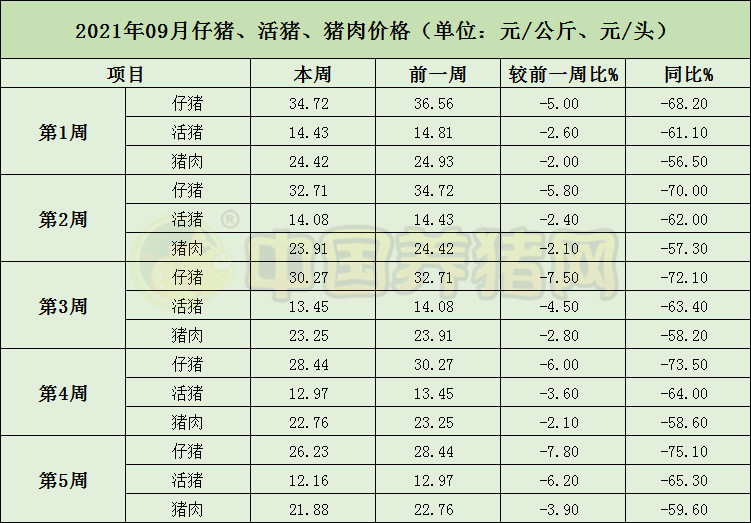 中国电子游艺网站下载安装

