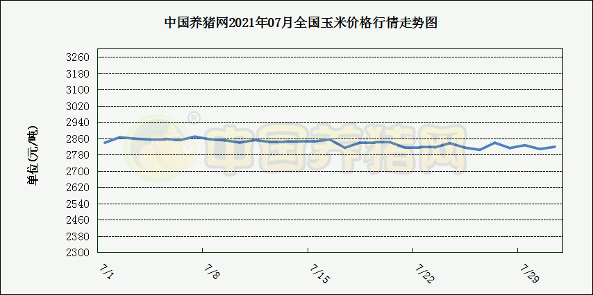 中国电子游艺网站下载安装
