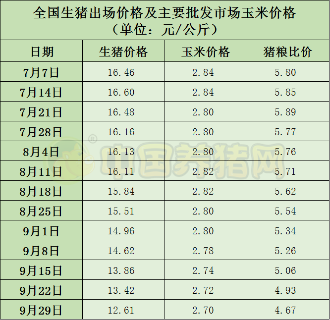 中国电子游艺网站下载安装
