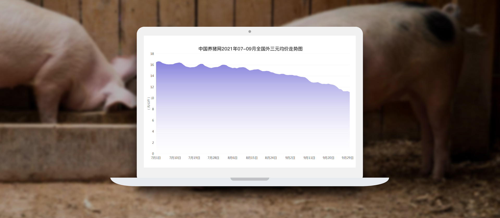 中国电子游艺网站下载安装
