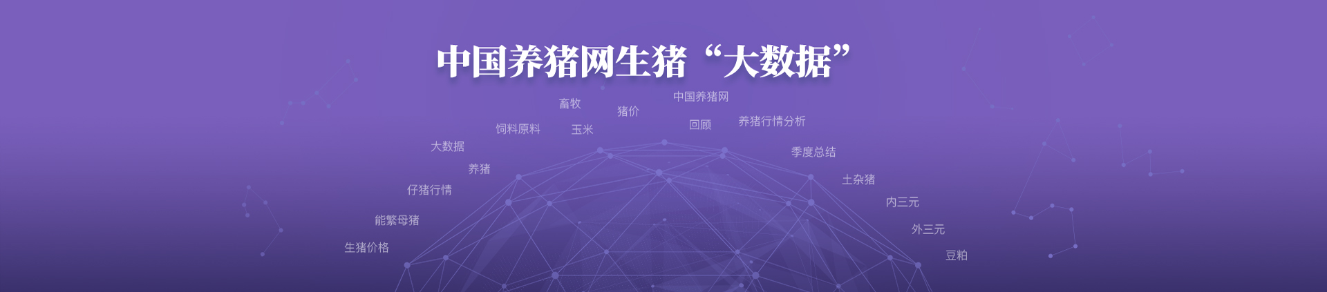 中国电子游艺网站下载安装
