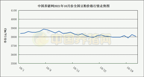 中国电子游艺网站下载安装
