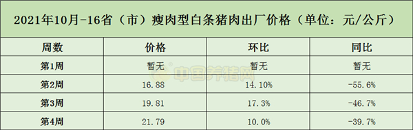 中国电子游艺网站下载安装
