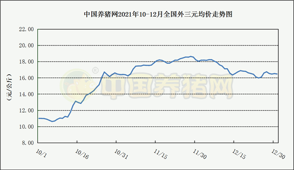 中国电子游艺网站下载安装
