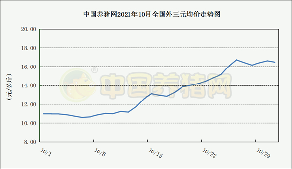 中国电子游艺网站下载安装
