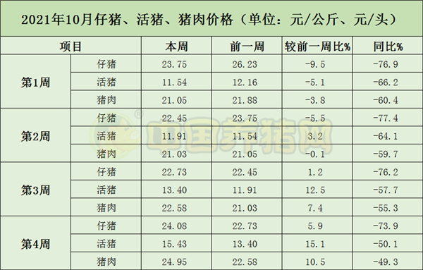 中国电子游艺网站下载安装
