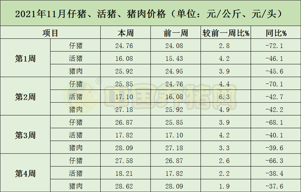 中国电子游艺网站下载安装
