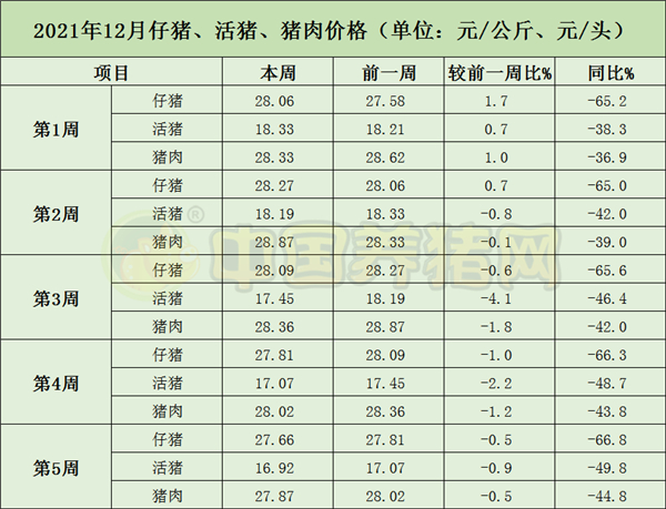 中国电子游艺网站下载安装
