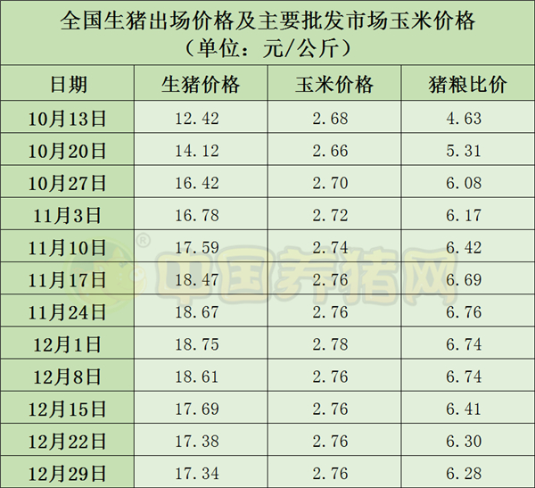 中国电子游艺网站下载安装
