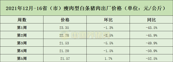中国电子游艺网站下载安装
