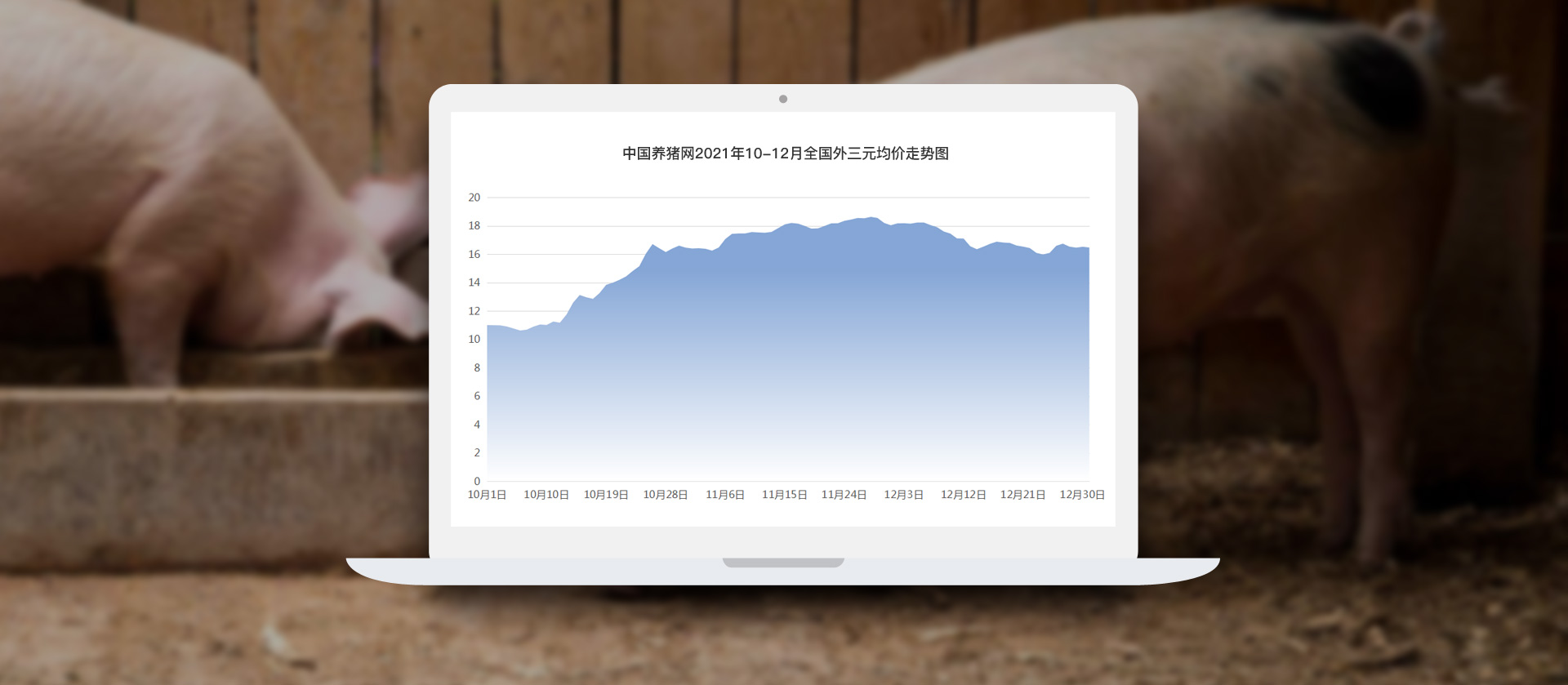 中国电子游艺网站下载安装

