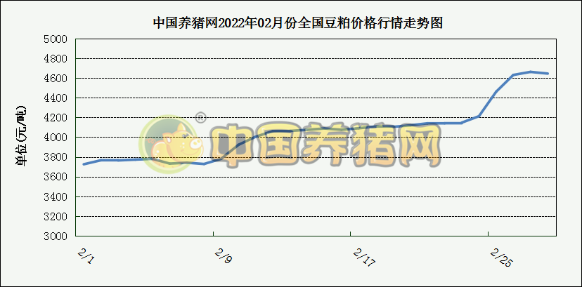 中国电子游艺网站下载安装
