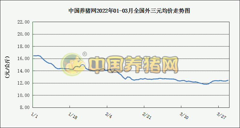 中国电子游艺网站下载安装
