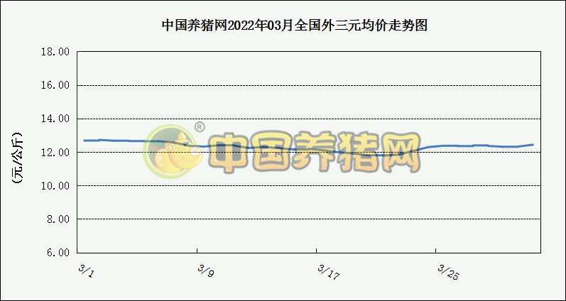 中国电子游艺网站下载安装
