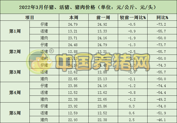 中国电子游艺网站下载安装
