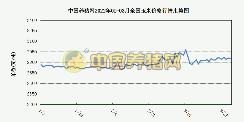 中国电子游艺网站下载安装
