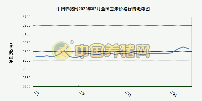 中国电子游艺网站下载安装

