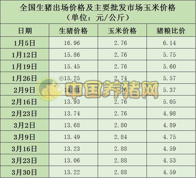 中国电子游艺网站下载安装
