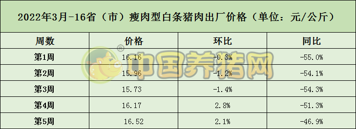 中国电子游艺网站下载安装

