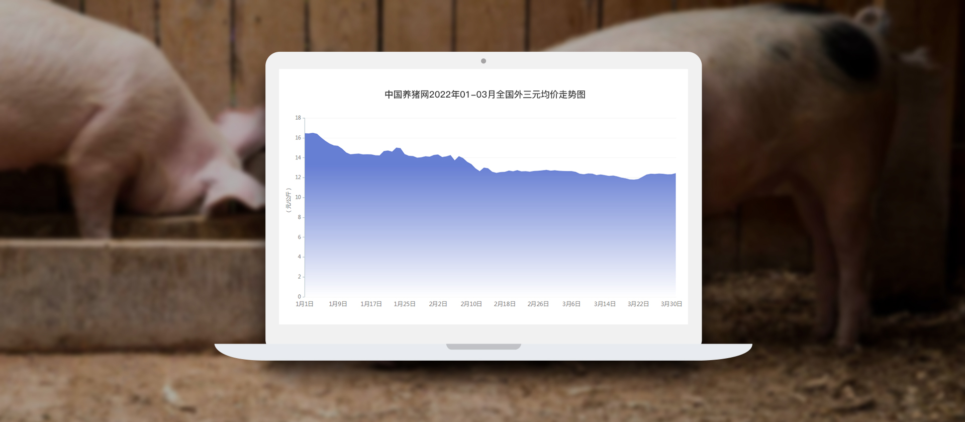 中国电子游艺网站下载安装
