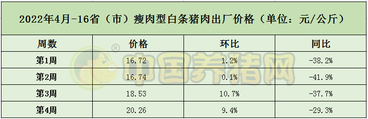 中国电子游艺网站下载安装
