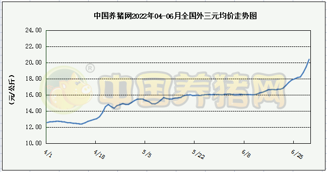 中国电子游艺网站下载安装
