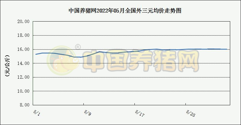 中国电子游艺网站下载安装
