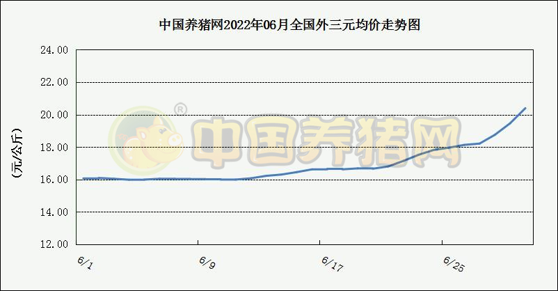 中国电子游艺网站下载安装
