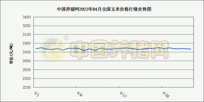 中国电子游艺网站下载安装
