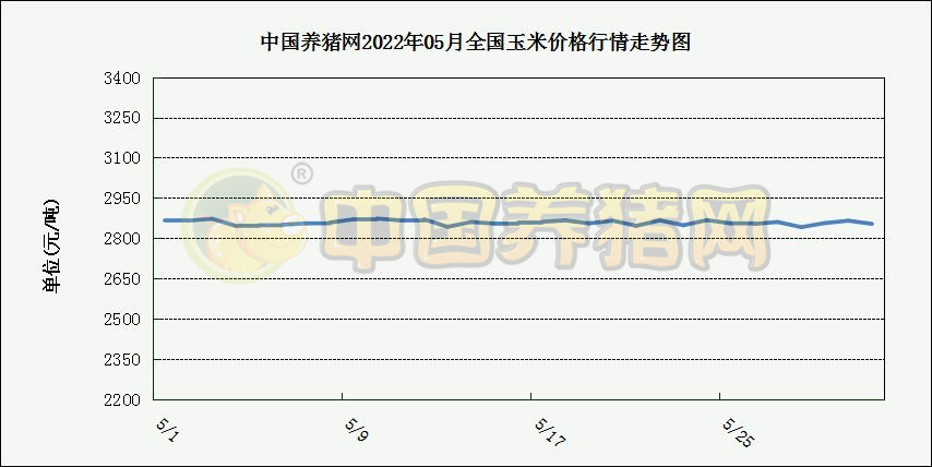 中国电子游艺网站下载安装
