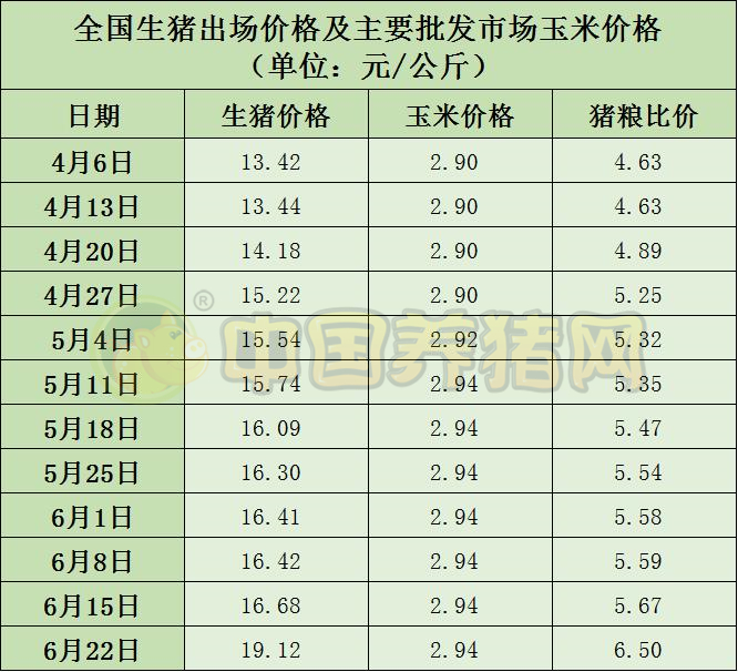 中国电子游艺网站下载安装
