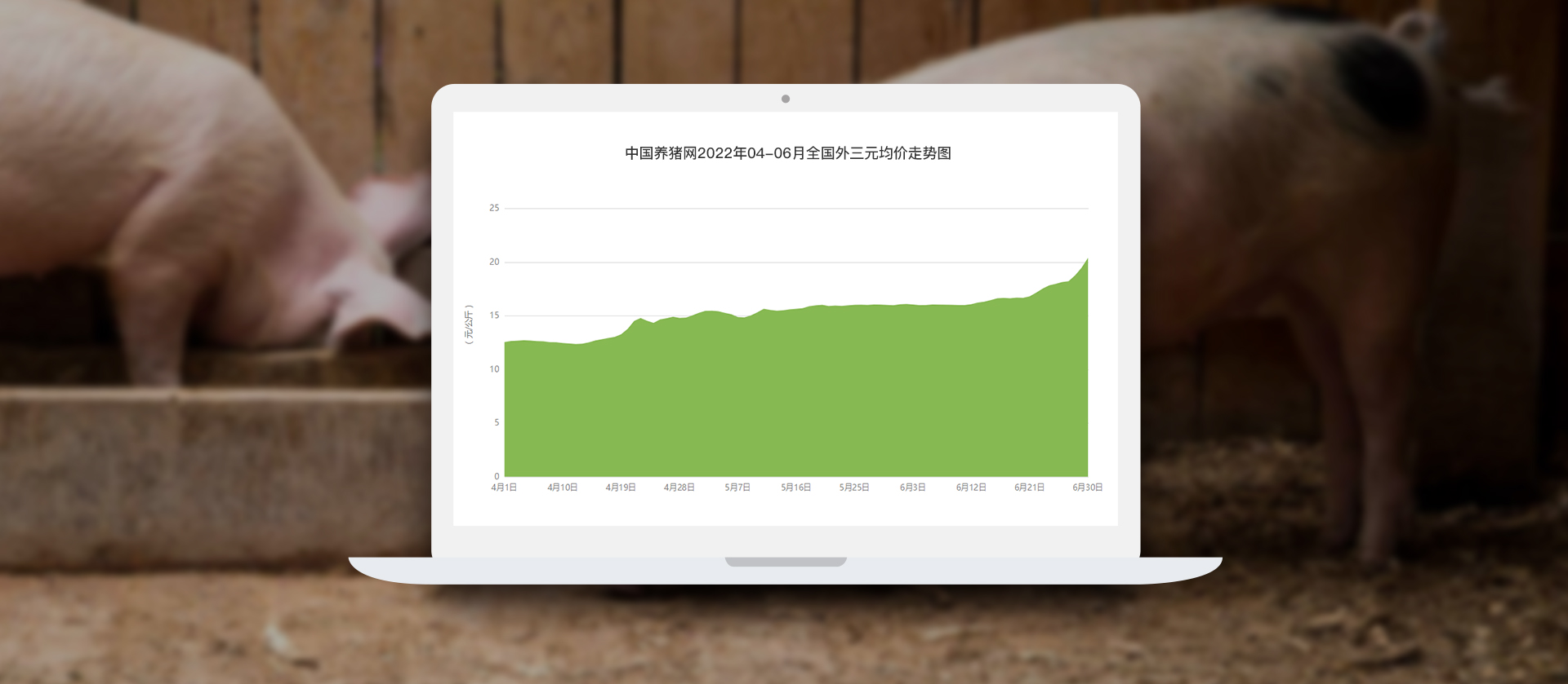 中国电子游艺网站下载安装
