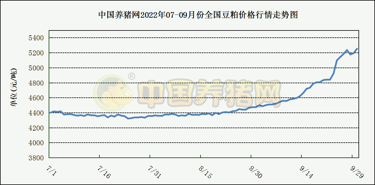 中国电子游艺网站下载安装
