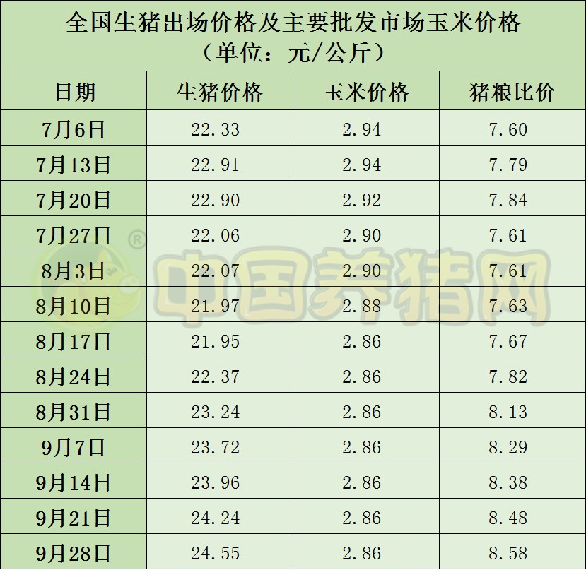 中国电子游艺网站下载安装
