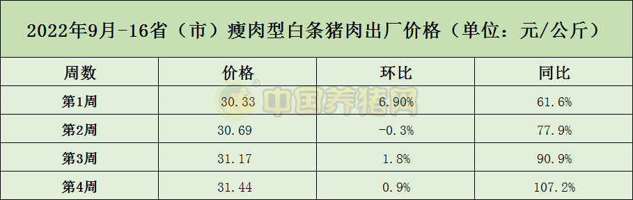 中国电子游艺网站下载安装
